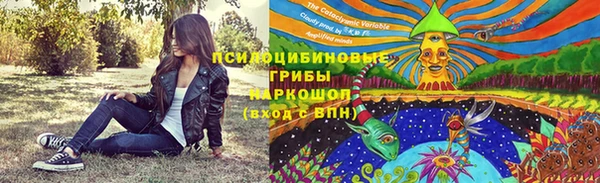 2c-b Елабуга